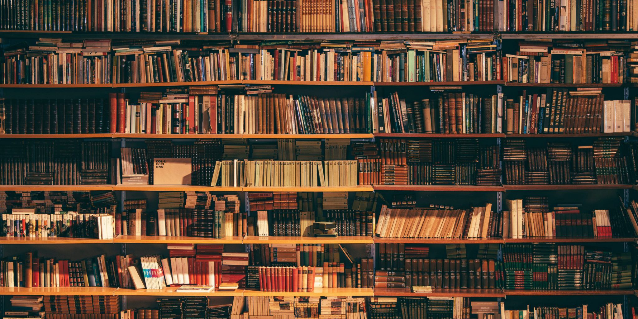 alfons-morales-YLSwjSy7stw-unsplash alfons-morales-YLSwjSy7stw-unsplash
